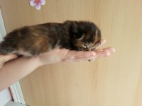 /album/c-alom1/a20130413-140601-jpg/