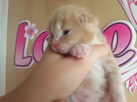 /album/caramello/a20130413-135744-jpg1/