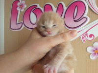 /album/caramello/a20130413-135755-jpg1/