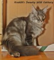 /album/fife-hu-beloved-dreamcoon-ivanhoe/img-9391-jpg/