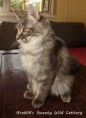/album/fife-hu-beloved-dreamcoon-ivanhoe/img-9273-jpg/